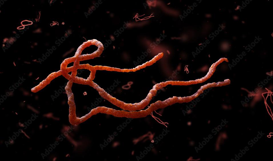 What Are Intestinal Parasites?
